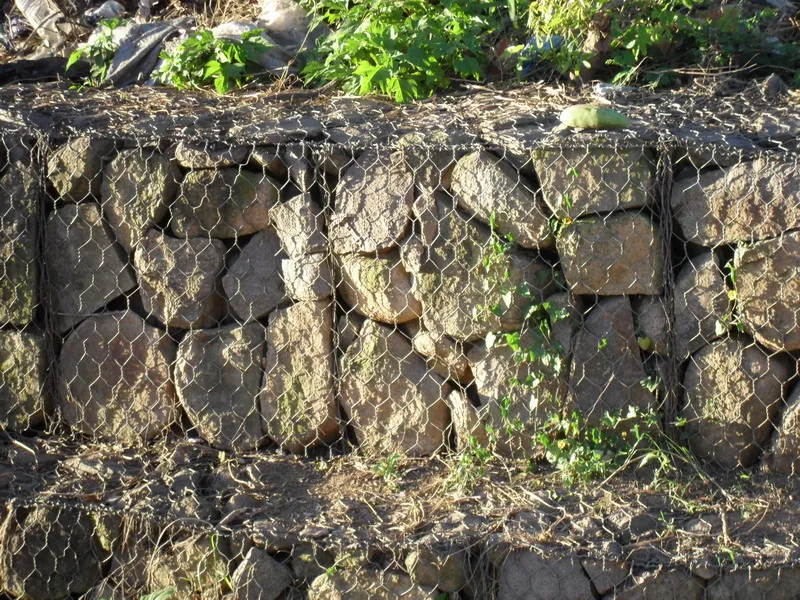 Enhance Your Projects with Durable and Versatile Gabion Products